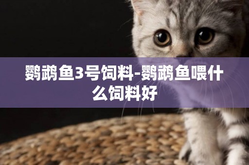 鸚鵡魚3號飼料-鸚鵡魚喂什么飼料好