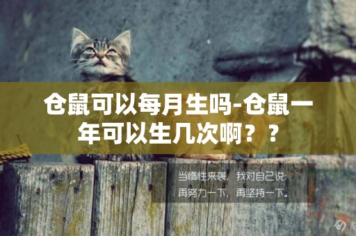 倉鼠可以每月生嗎-倉鼠一年可以生幾次啊？？
