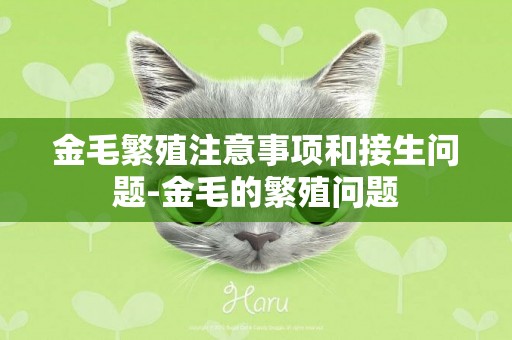金毛繁殖注意事項和接生問題-金毛的繁殖問題