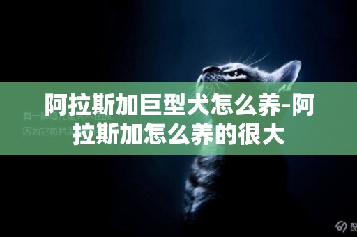 阿拉斯加巨型犬怎么養-阿拉斯加怎么養的很大