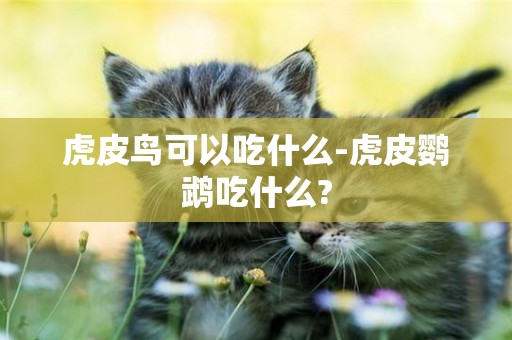虎皮鳥可以吃什么-虎皮鸚鵡吃什么?