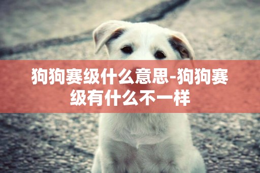狗狗賽級什么意思-狗狗賽級有什么不一樣