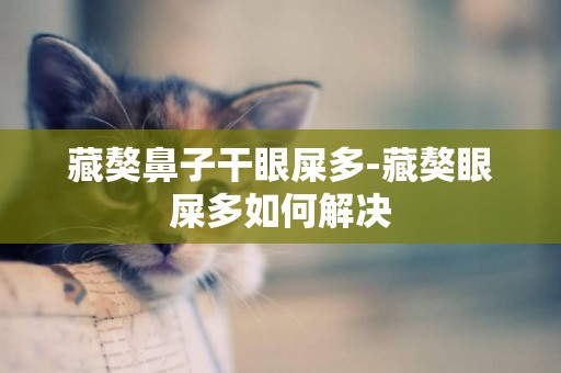 藏獒鼻子干眼屎多-藏獒眼屎多如何解決
