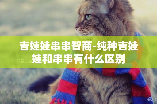 吉娃娃串串智商-純種吉娃娃和串串有什么區別