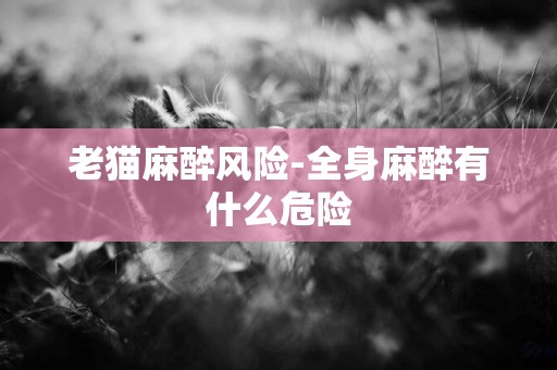 老貓麻醉風險-全身麻醉有什么危險