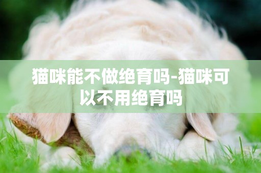 貓咪能不做絕育嗎-貓咪可以不用絕育嗎