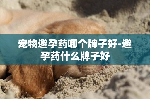 寵物避孕藥哪個牌子好-避孕藥什么牌子好