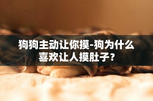 狗狗主動讓你摸-狗為什么喜歡讓人摸肚子？