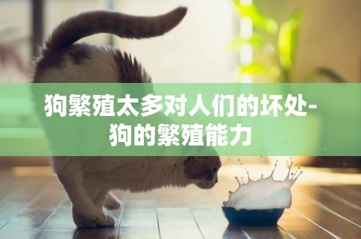 狗繁殖太多對人們的壞處-狗的繁殖能力