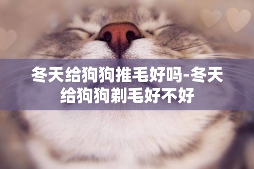 冬天給狗狗推毛好嗎-冬天給狗狗剃毛好不好