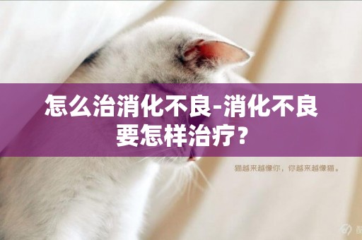 怎么治消化不良-消化不良要怎樣治療？