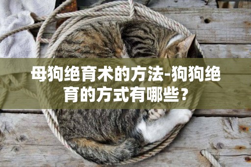 母狗絕育術的方法-狗狗絕育的方式有哪些？