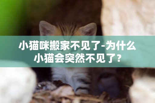 小貓咪搬家不見了-為什么小貓會突然不見了？