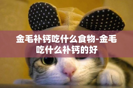 金毛補鈣吃什么食物-金毛吃什么補鈣的好