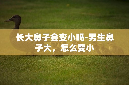 長大鼻子會變小嗎-男生鼻子大，怎么變小