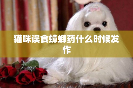 貓咪誤食蟑螂藥什么時候發作