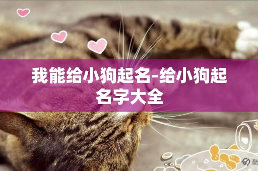 我能給小狗起名-給小狗起名字大全