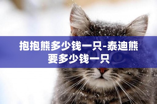 抱抱熊多少錢一只-泰迪熊要多少錢一只