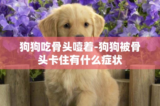 狗狗吃骨頭噎著-狗狗被骨頭卡住有什么癥狀