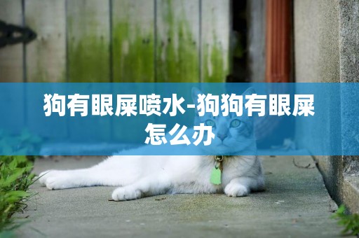 狗有眼屎噴水-狗狗有眼屎怎么辦