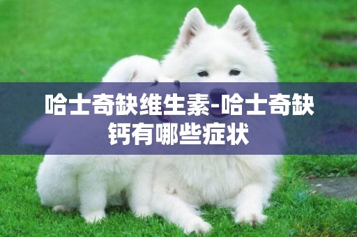 哈士奇缺維生素-哈士奇缺鈣有哪些癥狀