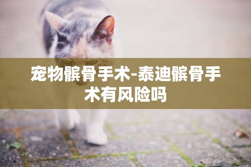 寵物髕骨手術-泰迪髕骨手術有風險嗎