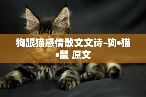 狗跟貓感情散文文詩-狗?貓?鼠 原文