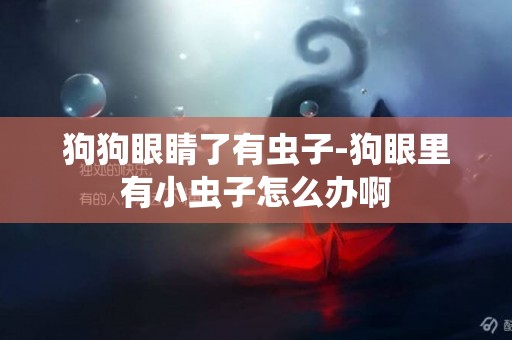 狗狗眼睛了有蟲子-狗眼里有小蟲子怎么辦啊