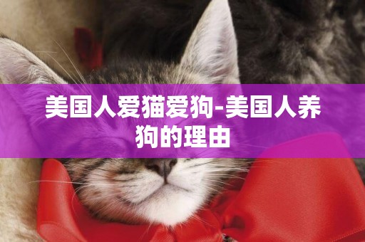 美國人愛貓愛狗-美國人養狗的理由