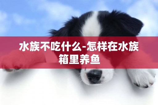 水族不吃什么-怎樣在水族箱里養魚