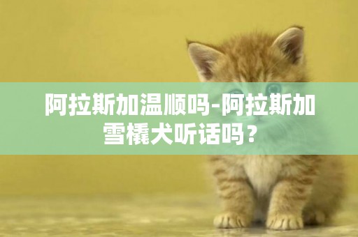 阿拉斯加溫順嗎-阿拉斯加雪橇犬聽話嗎？