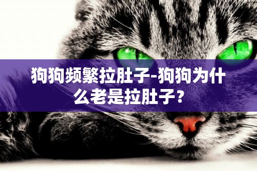 狗狗頻繁拉肚子-狗狗為什么老是拉肚子？