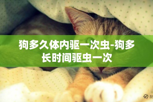狗多久體內驅一次蟲-狗多長時間驅蟲一次