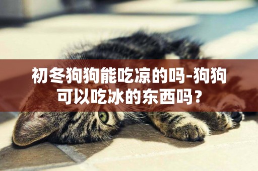 初冬狗狗能吃涼的嗎-狗狗可以吃冰的東西嗎？