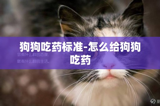 狗狗吃藥標準-怎么給狗狗吃藥
