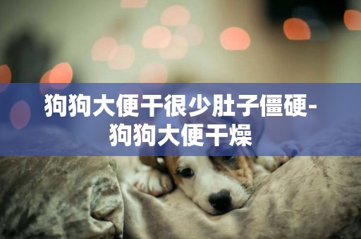 狗狗大便干很少肚子僵硬-狗狗大便干燥