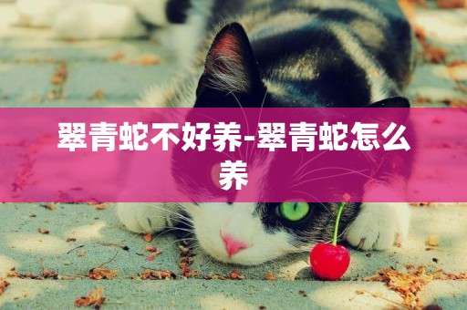 翠青蛇不好養-翠青蛇怎么養