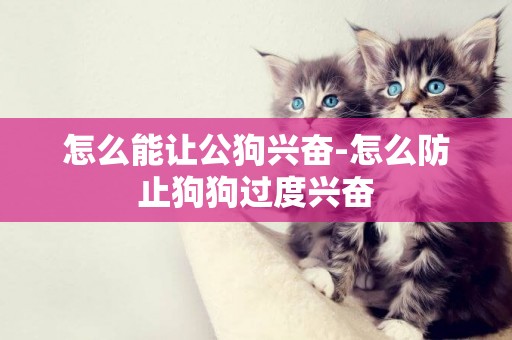 怎么能讓公狗興奮-怎么防止狗狗過度興奮