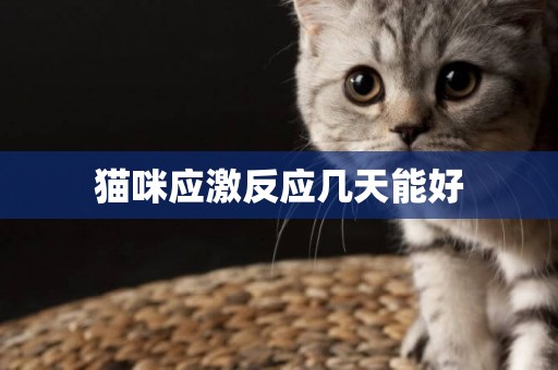 貓咪應激反應幾天能好