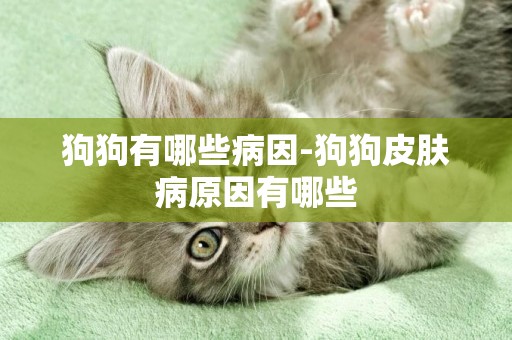 狗狗有哪些病因-狗狗皮膚病原因有哪些