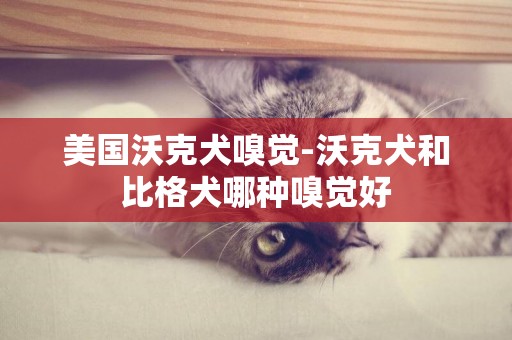 美國沃克犬嗅覺-沃克犬和比格犬哪種嗅覺好