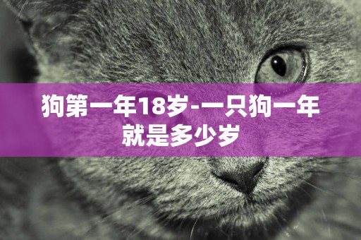 狗第一年18歲-一只狗一年就是多少歲