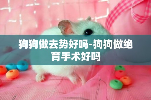 狗狗做去勢好嗎-狗狗做絕育手術好嗎