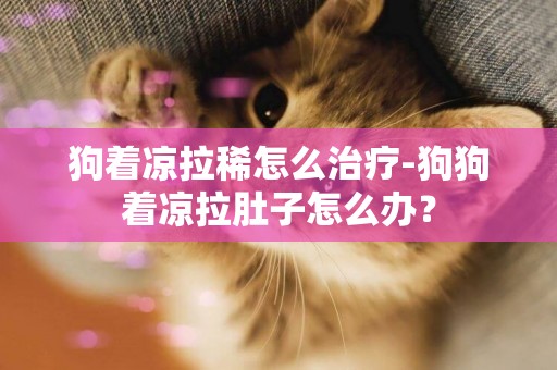 狗著涼拉稀怎么治療-狗狗著涼拉肚子怎么辦？