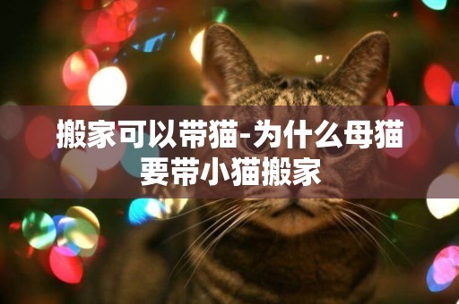 搬家可以帶貓-為什么母貓要帶小貓搬家