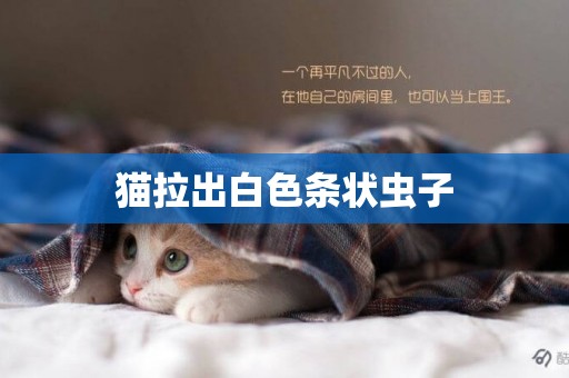貓拉出白色條狀蟲子