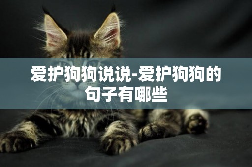 愛護狗狗說說-愛護狗狗的句子有哪些