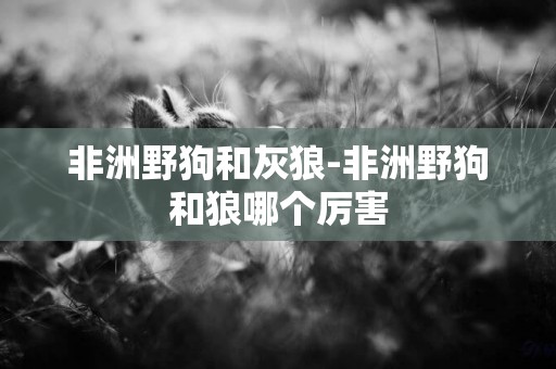 非洲野狗和灰狼-非洲野狗和狼哪個厲害
