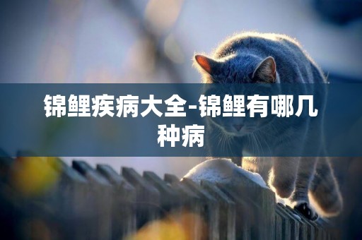 錦鯉疾病大全-錦鯉有哪幾種病