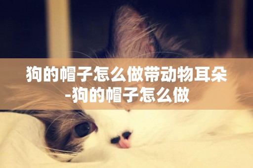 狗的帽子怎么做帶動物耳朵-狗的帽子怎么做